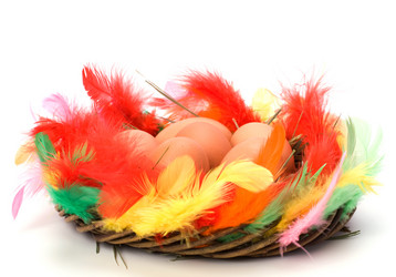 Similar image 2962793