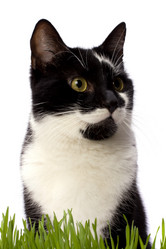 Similar image 2962843