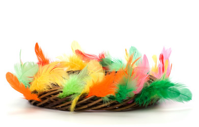 Similar image 2962846