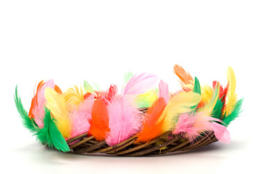 Similar image 2962903