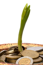 Similar image 2962958