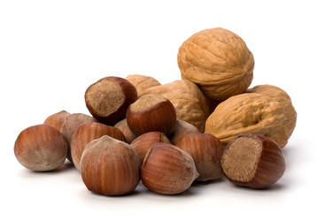 Similar image 2963029