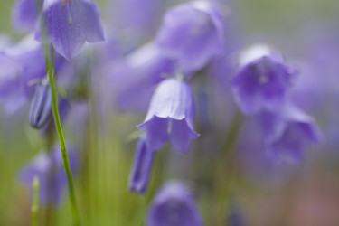 Similar image 2963045