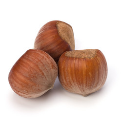 Similar image 2963055