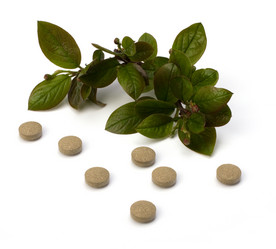 Similar image 2963056