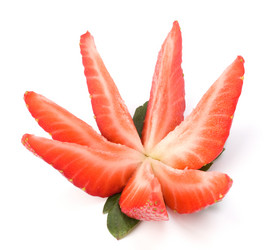 Similar image 2963098