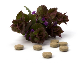 Similar image 2963155