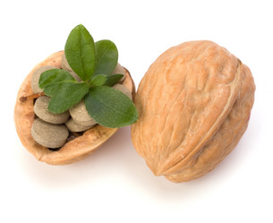 Similar image 2963161