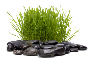 Similar image 2963197