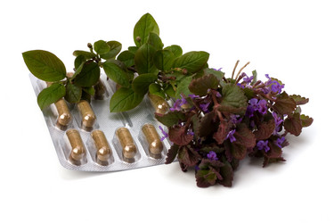 Similar image 2963210