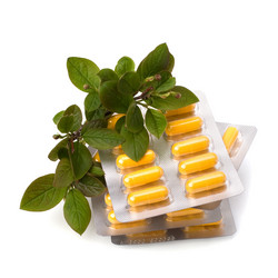 Similar image 2963283