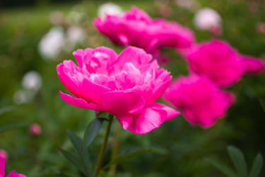 Similar image 2963357