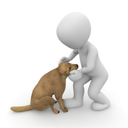 Similar image 2963949