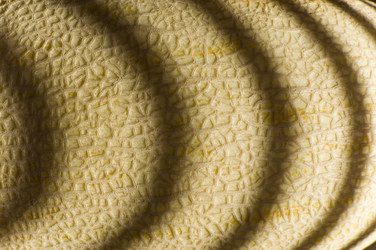 Similar image 2964105