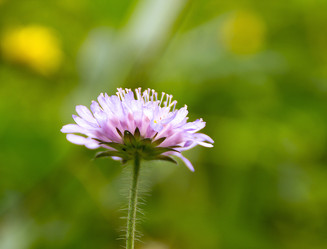 Similar image 2964110