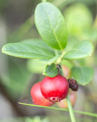 Similar image 2964111