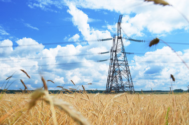 Similar image 2964114