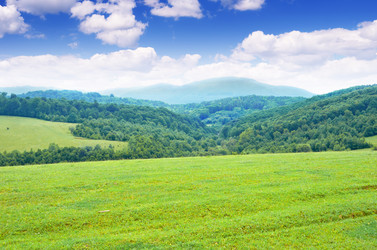 Similar image 2964115