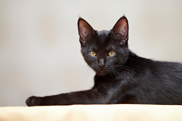 Similar image 2964130