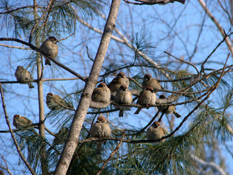 Similar image 2964137