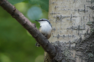 Similar image 2964139