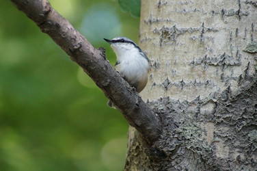 Similar image 2964140