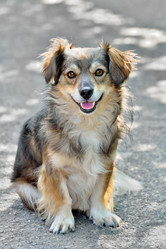 Similar image 2964163