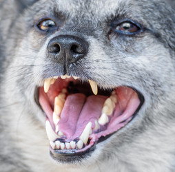 Similar image 2964165