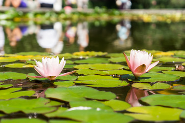 Similar image 2964175