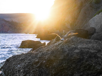 Similar image 2964176