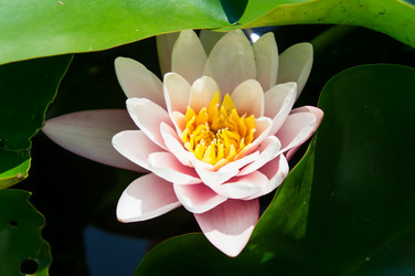 Similar image 2964177