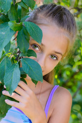 Similar image 2964178