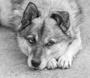 Similar image 2964179