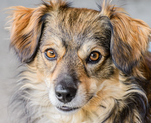 Similar image 2964180