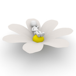 Similar image 2964670