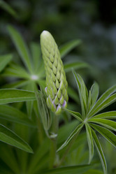 Similar image 2966079