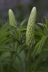 Similar image 2966080