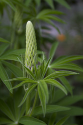 Similar image 2966081