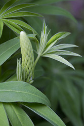 Similar image 2966082