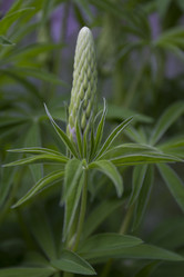 Similar image 2966083