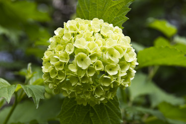 Similar image 2966086