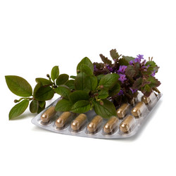 Similar image 2966407