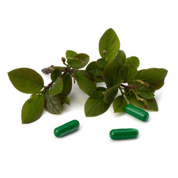 Similar image 2966542