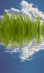 Similar image 2966554