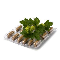 Similar image 2966595