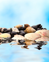 Similar image 2966608