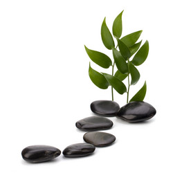 Similar image 2966610