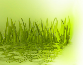 Similar image 2966616