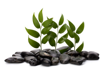 Similar image 2966621