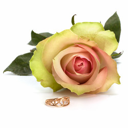 Similar image 2966631